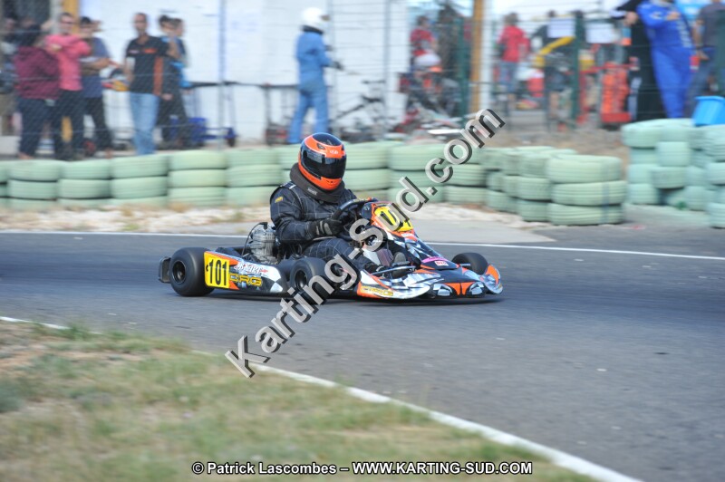 DSC (204).JPG